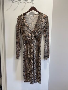 Zara Snake Print Long Sleeve Dress